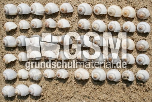 Schneckenhäuser-53.jpg